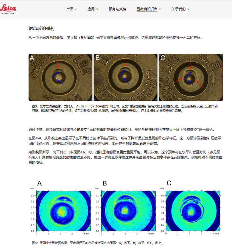屏幕截图 2024-12-14 101123