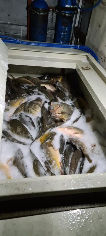 14652B1D-234B-4DAF-873E-3A92A2A5E635