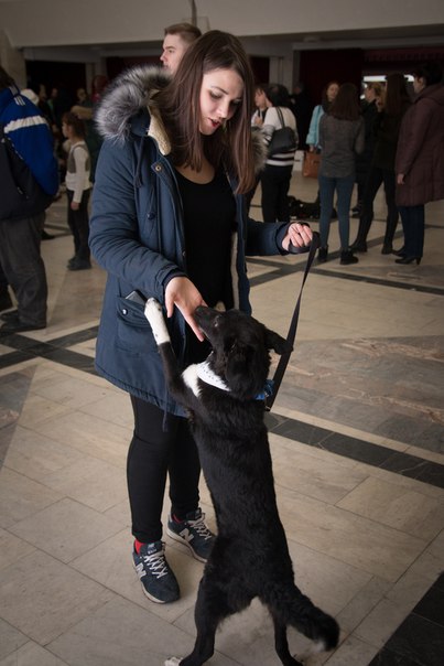 807892E9-FEEA-4110-943B-63386FE32383