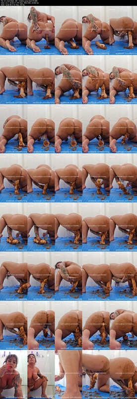 01 Scat Brazil MS Creamy poop