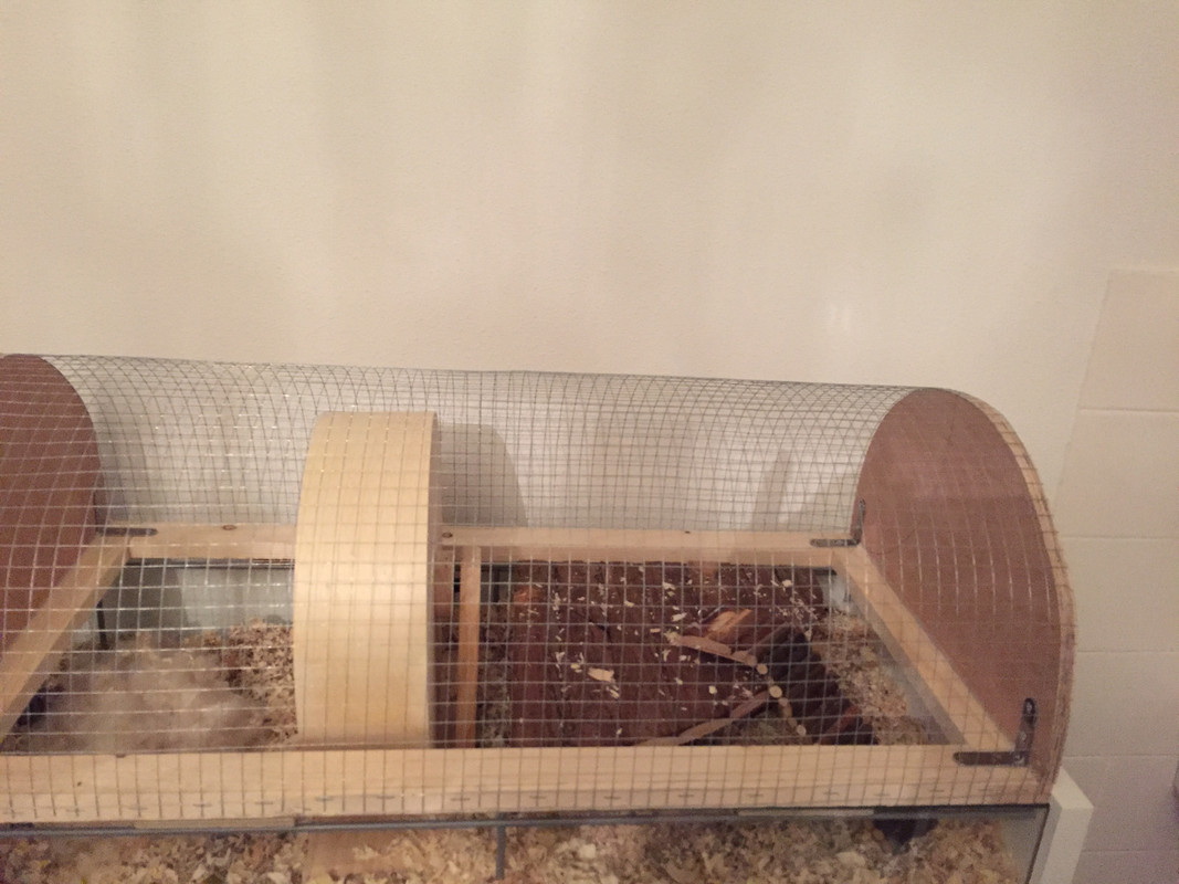 452F5C53-58A5-4A94-9DD4-F5BBB515150F