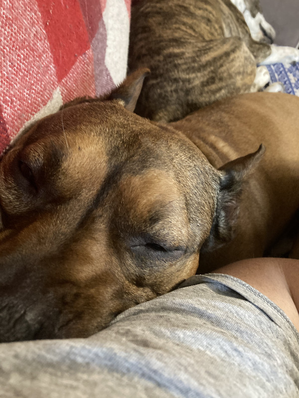 11F0E3ED-E934-4DC4-984C-F65250D3638C