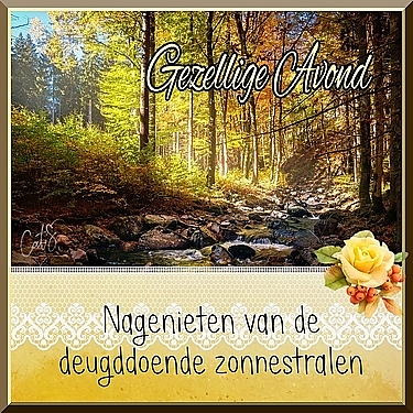 33.jpg“  border=