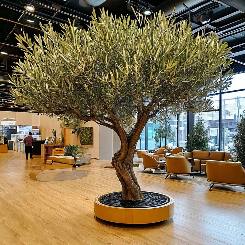 Оливковое дерево в бизнес центре