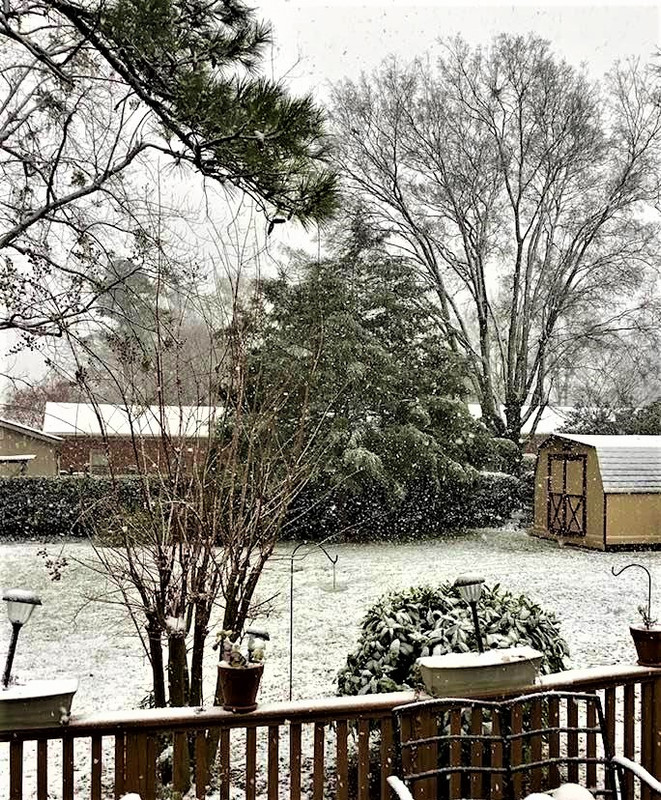 269807122_4647487025348386_817700376410800995_n (2)