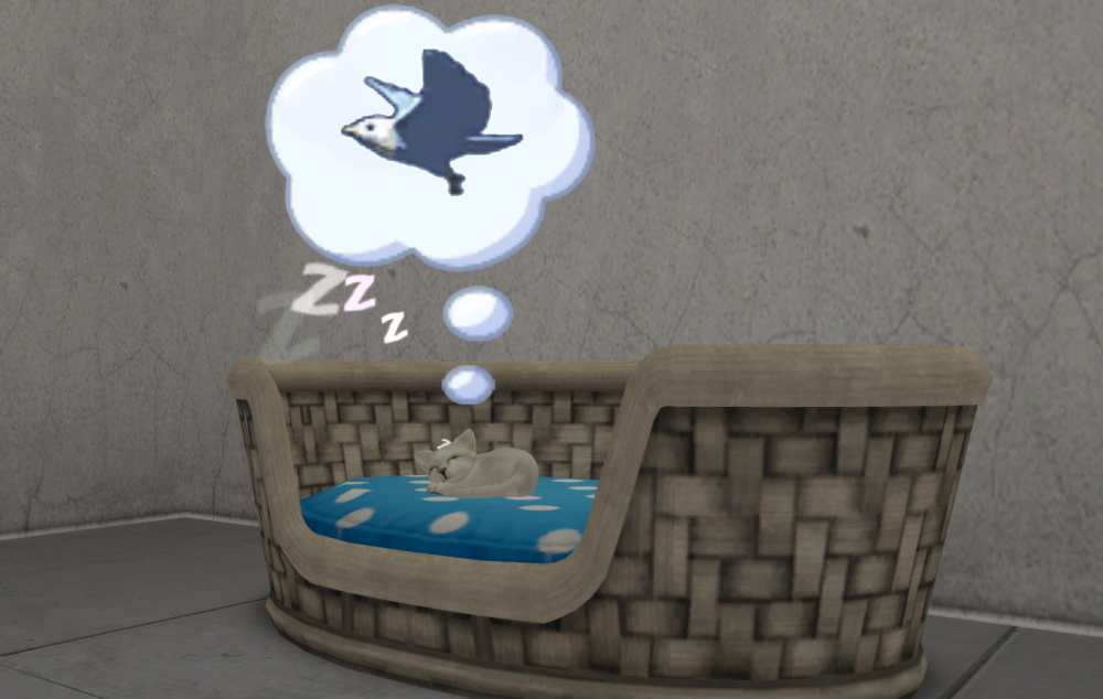 Sims2-EP9-RPC-2021-06-29-20-49-52-78