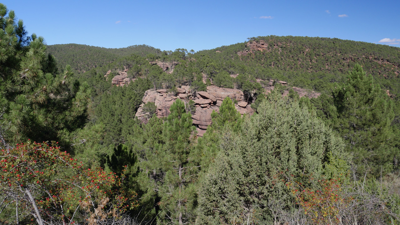 6F09F483-D910-4292-9D82-D7EDFA055CD7