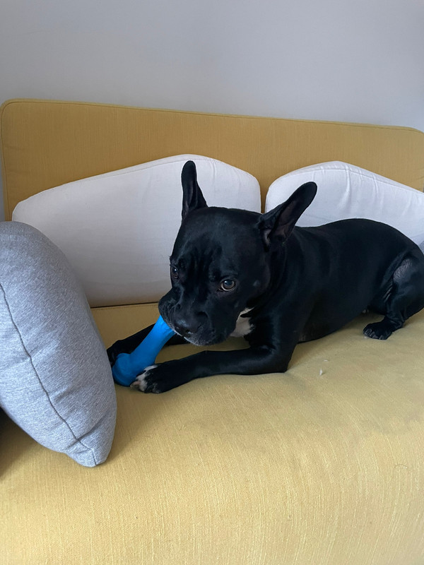 36BF9D8E-1D38-499C-BA89-80F791334C13