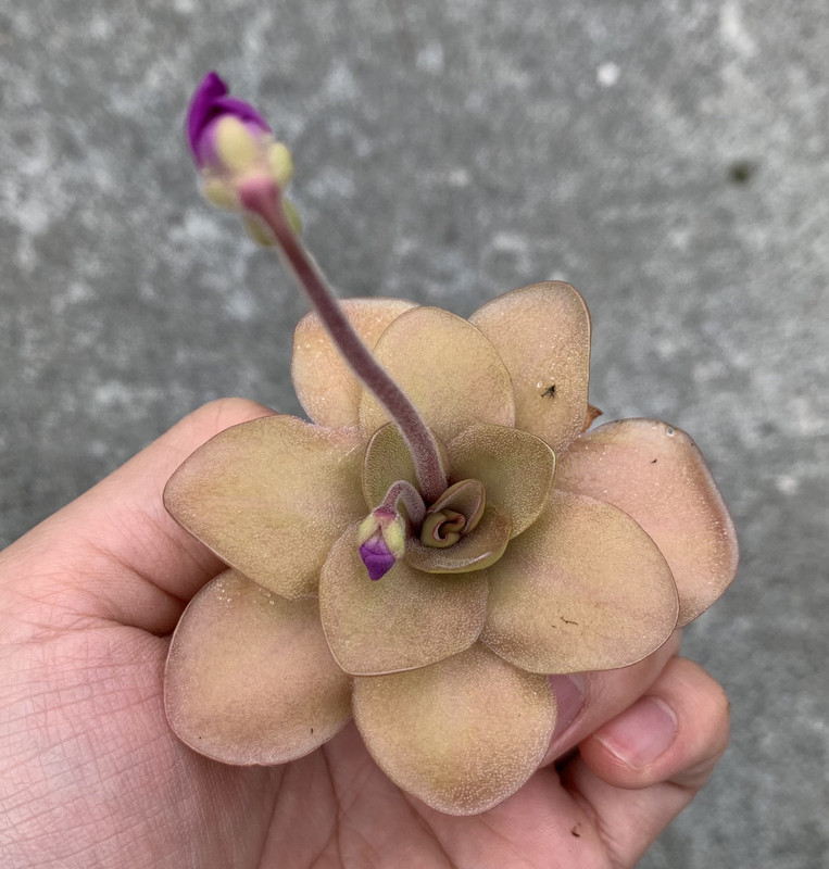 CFDFFA75-5B8B-44F7-B62F-9A3F29B7944F