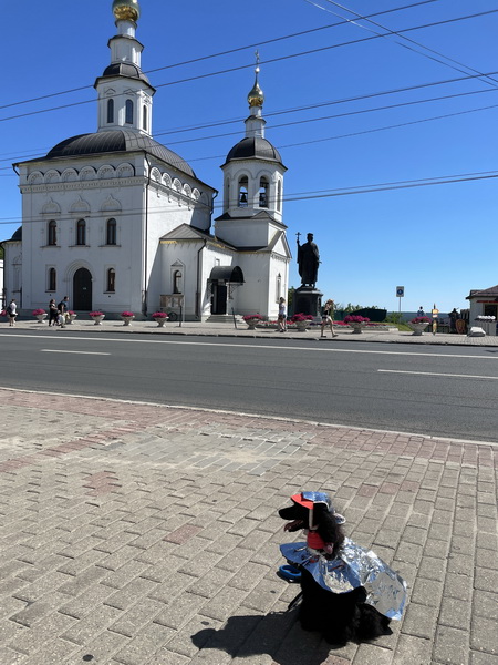 https://i.postimg.cc/k4B2K4VL/IMG-3228.jpg