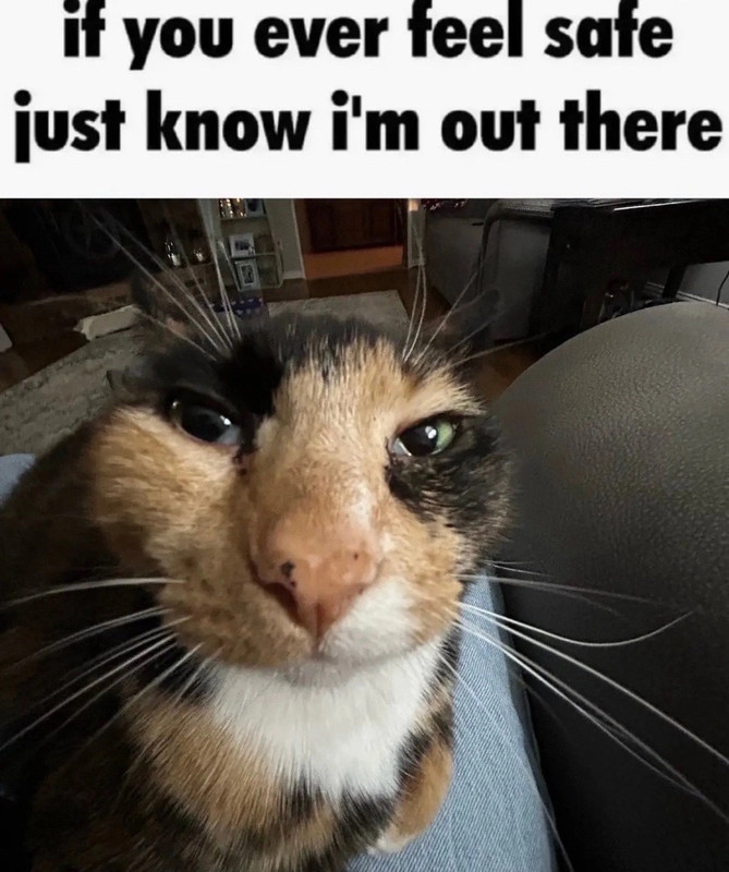 2A70C6DF-F9E8-418E-A1F7-2FBA1D0DD5BB