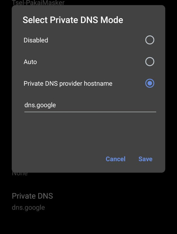 Klik Private DNS dan isi sesuai gambar