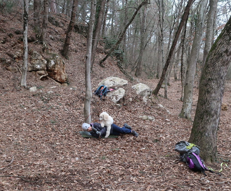 274035933-1056326568560674-3790346672654