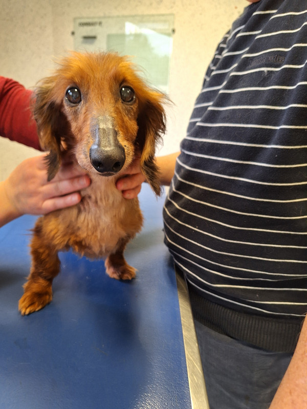 [Image: 20240419-172755.jpg]