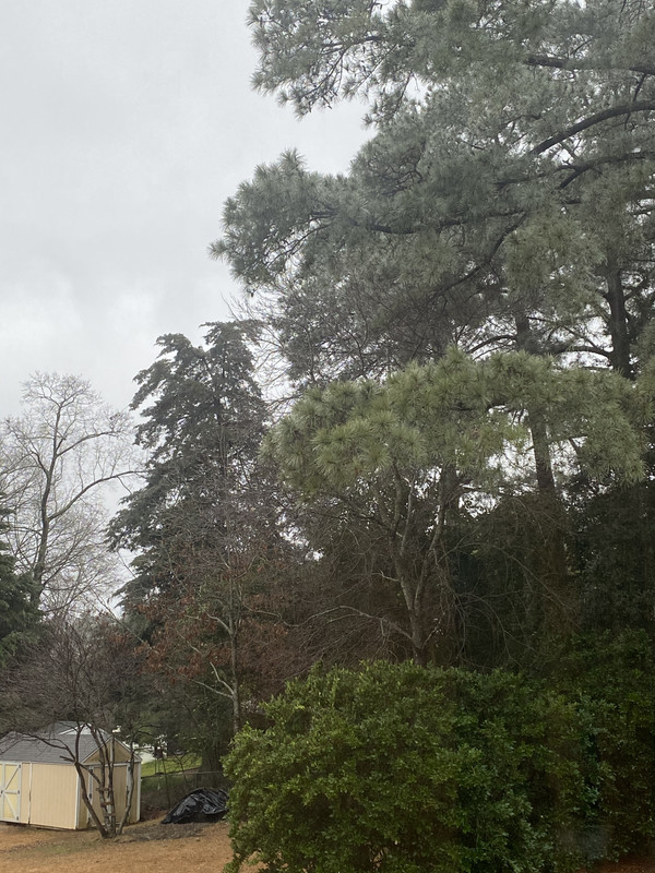 DAB1331F-309B-47F2-AA2F-179805A8F573