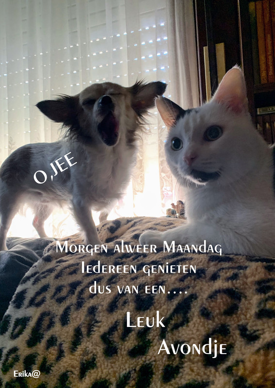 HTML leren