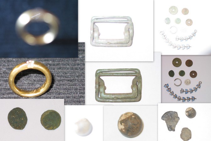 Skovens mønt