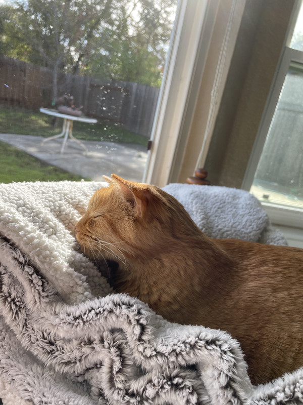 42047D44-2815-49E9-B32D-1D6BF5221D5E