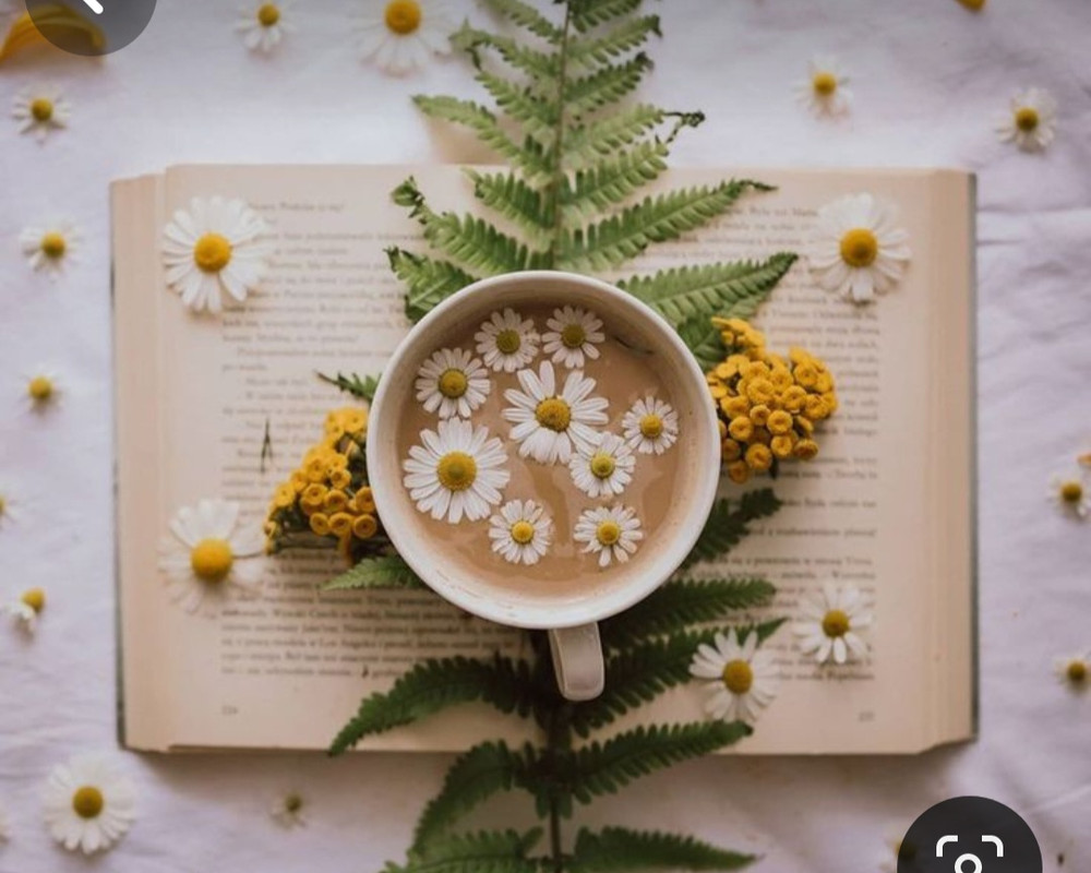 Screenshot_20240406_124034_Pinterest