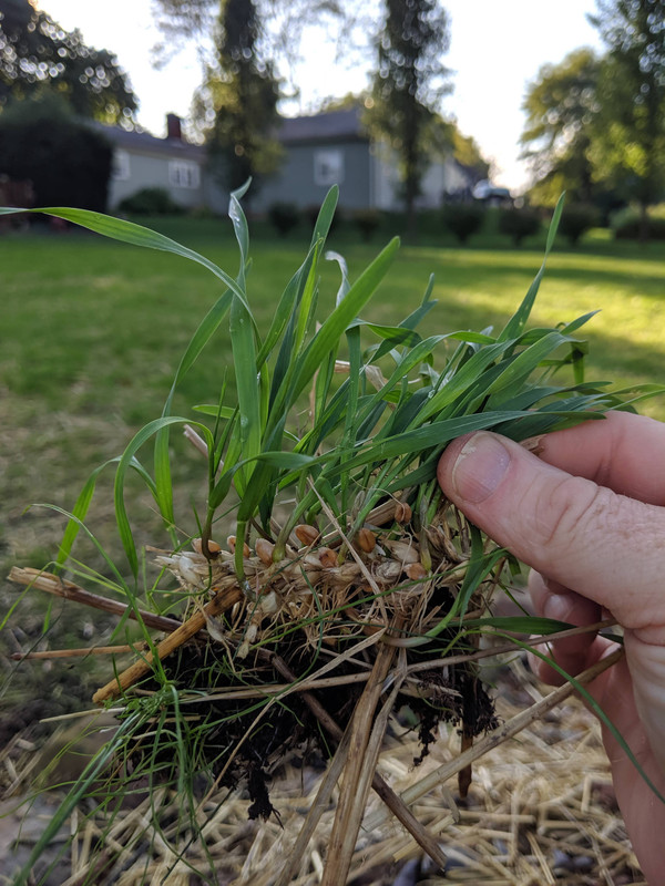 4C57E8B4-16EA-4B8D-B008-0698E4CD61E9