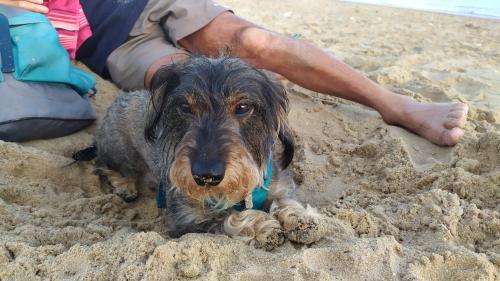 [Image: 841ae1e107fc7c07fd7c647c5c6980c4.jpg]