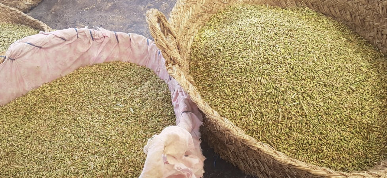 Screenshot-20260406-211556-Gallery