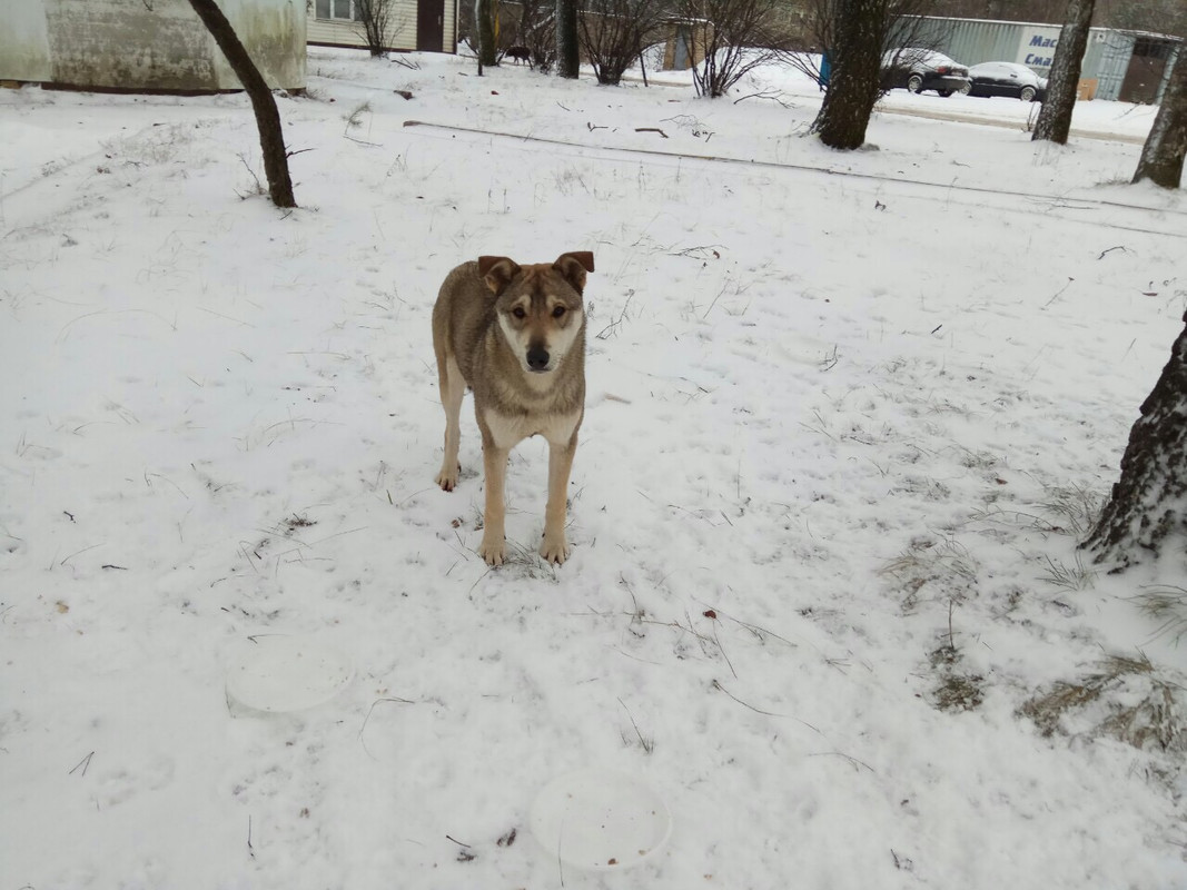 9656568E-246B-4D43-B2BD-3F38DBB58286