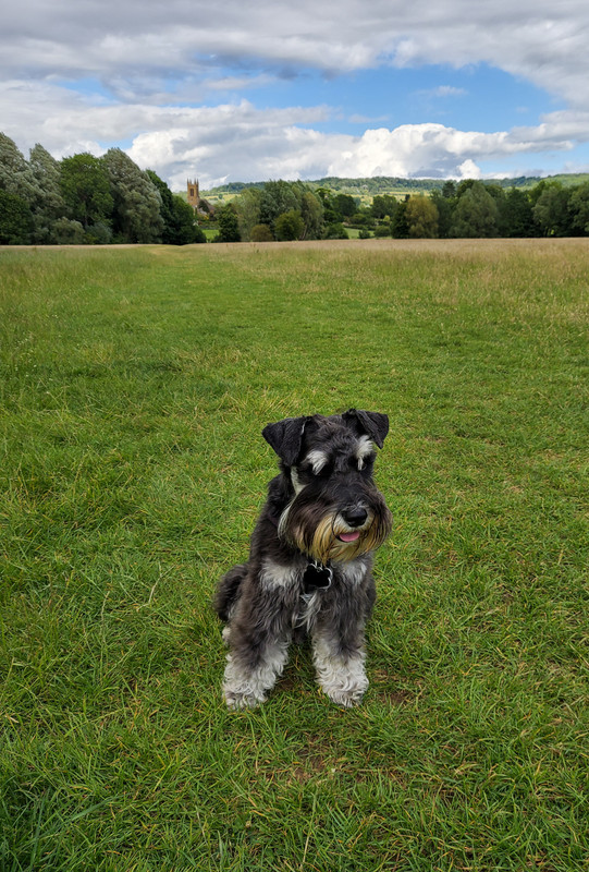 5D319C74-FE53-40F4-A29F-F3B916514B4D