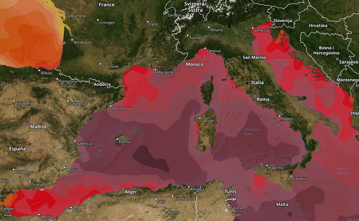 Allerta Scienziati: Riscaldamento estremo del Mar Mediterraneo provoca la “morte di massa” delle specie marine