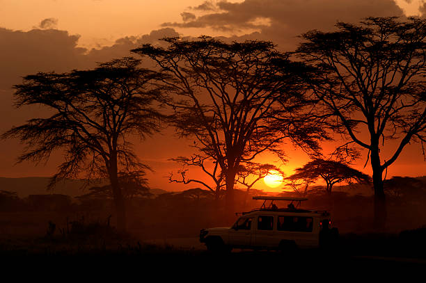 luxury Tanzania safari