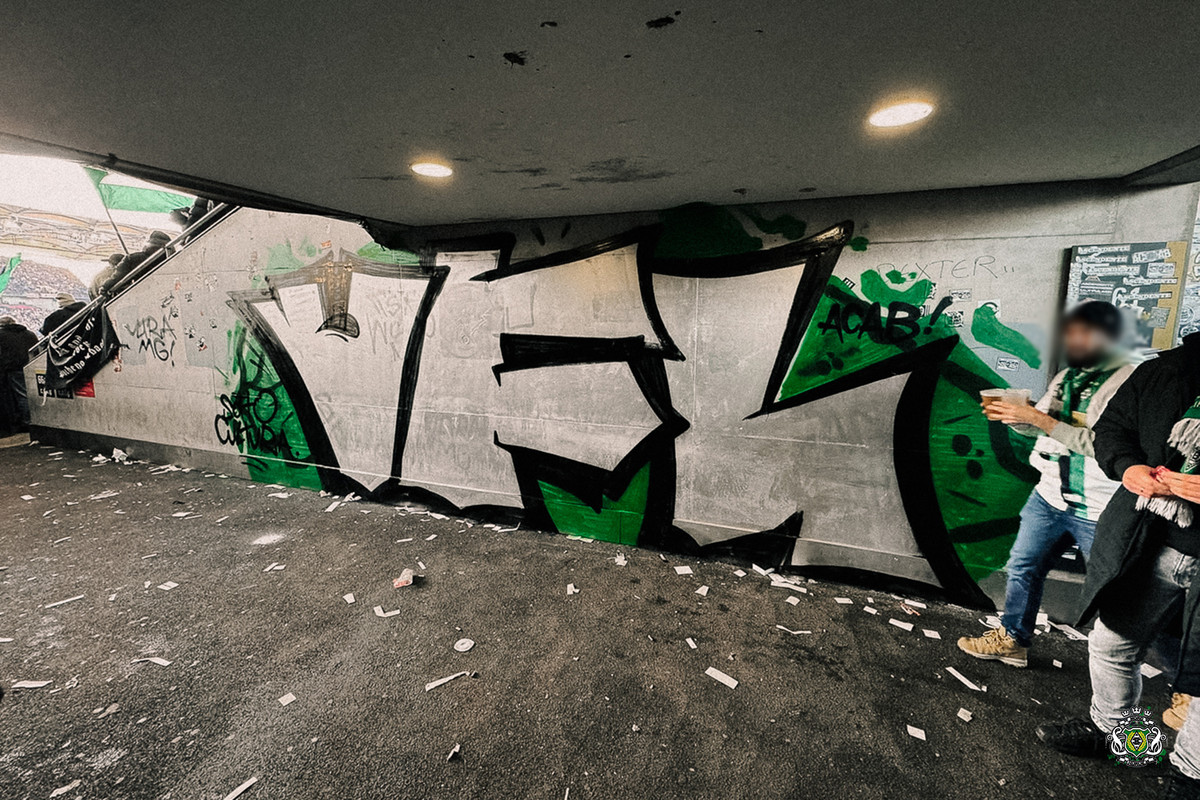 vfba2425-015