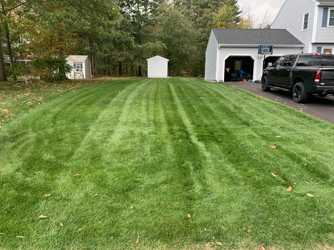 31CBB676-43C4-433D-B2B6-B3F78F1FAE0C