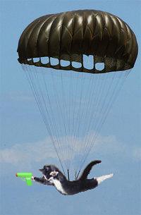 DEEE1B13-2310-47F6-8296-CA5883E8FE4A