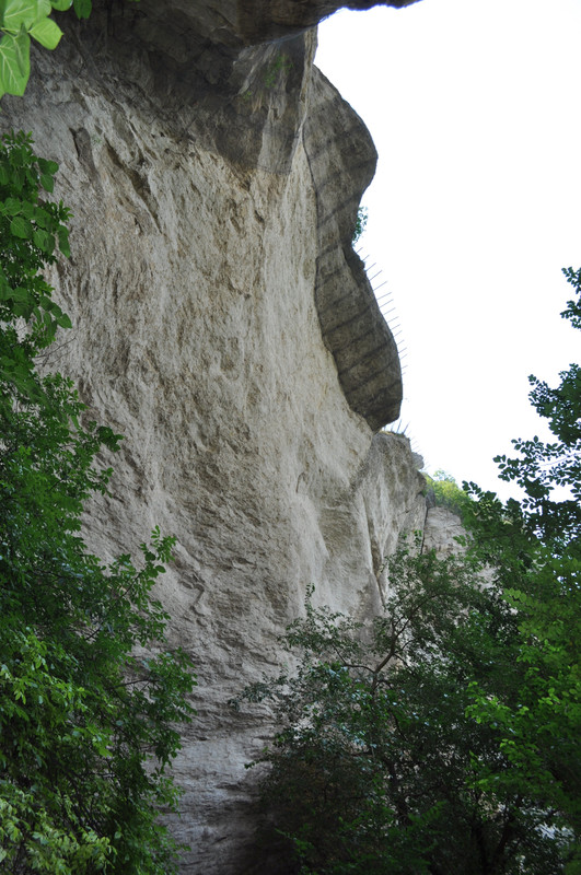 DSC_3920