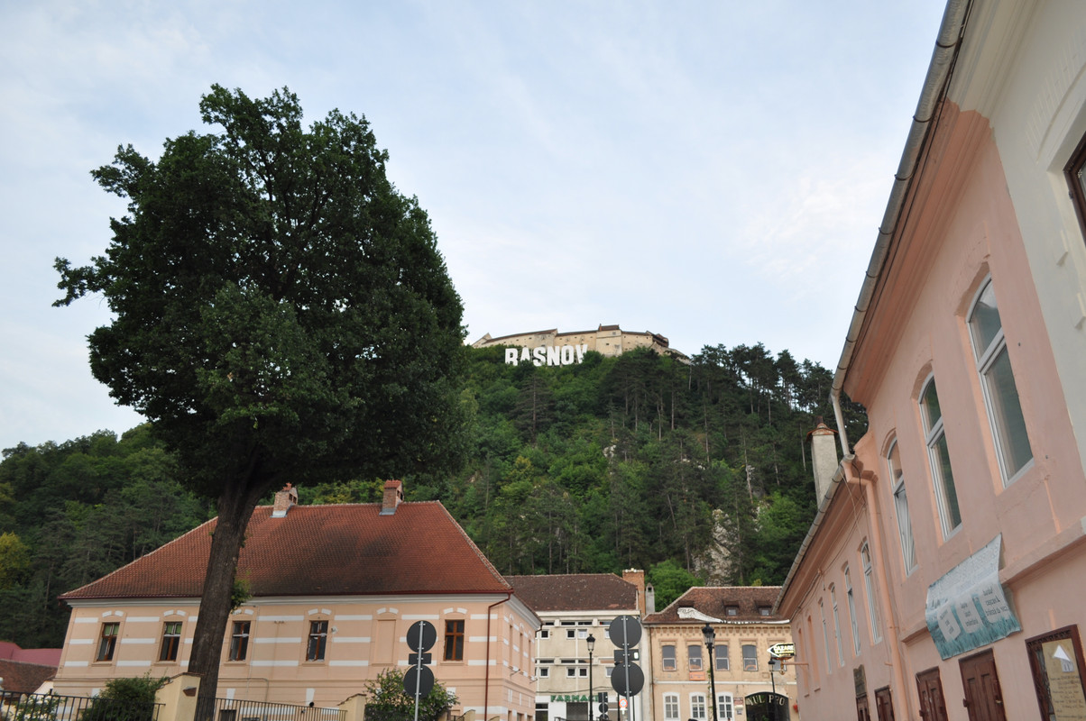 DSC_3963