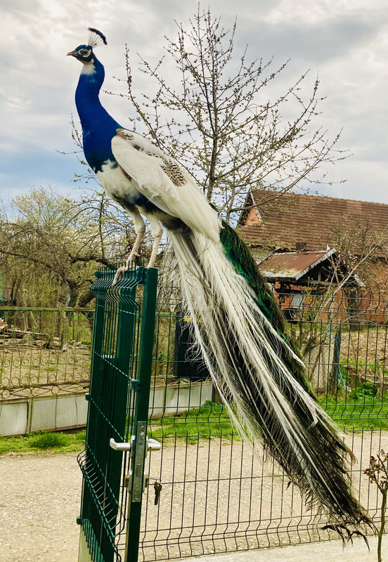 3E5B2473-BD2F-4368-BA2F-D9F8B3D8CD7F