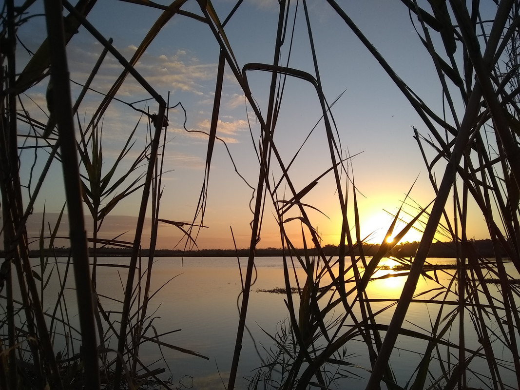 IMG_20201125_064227191