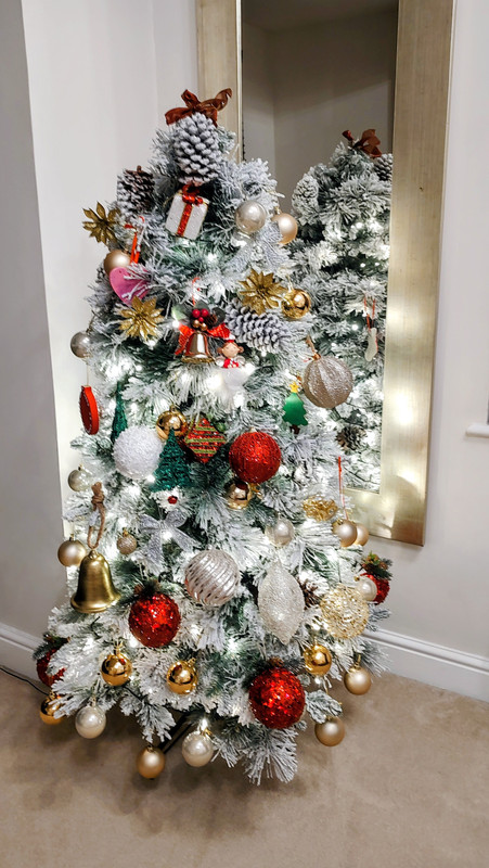 IMG 20251122 205810807 2