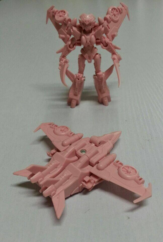 10733980_725086014243804_8090194446294361017_n