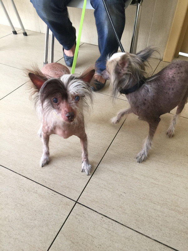 9338BDFA-281E-4D2C-A353-9F0B2B83451F