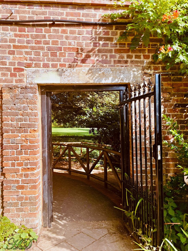 Garden4.jpg
