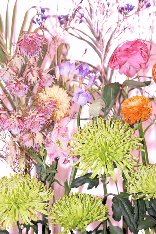 The Brides and fireworks