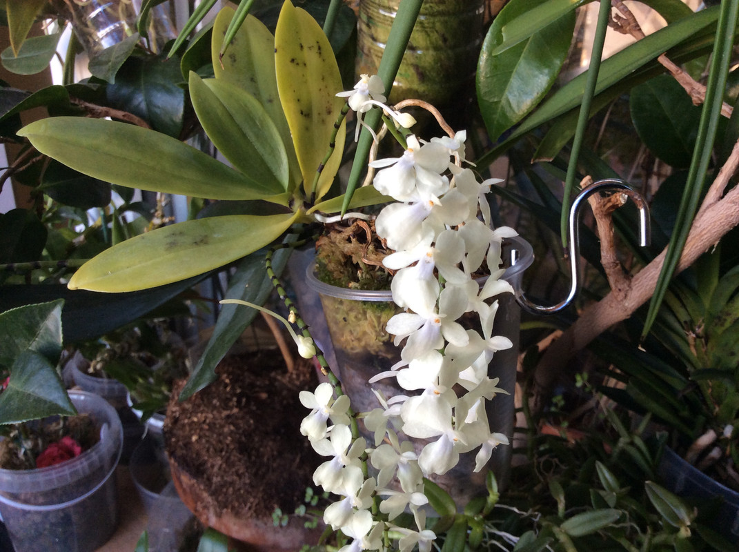 4D0134A9-52D2-4A7C-9E5F-6FB73950C285