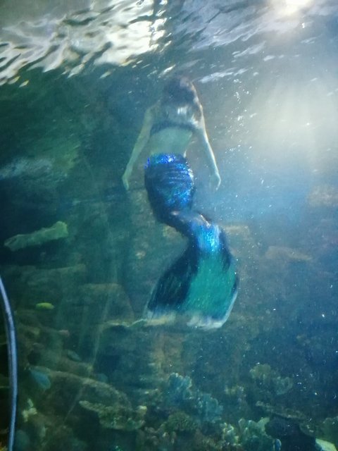 IMG-20210818-153113