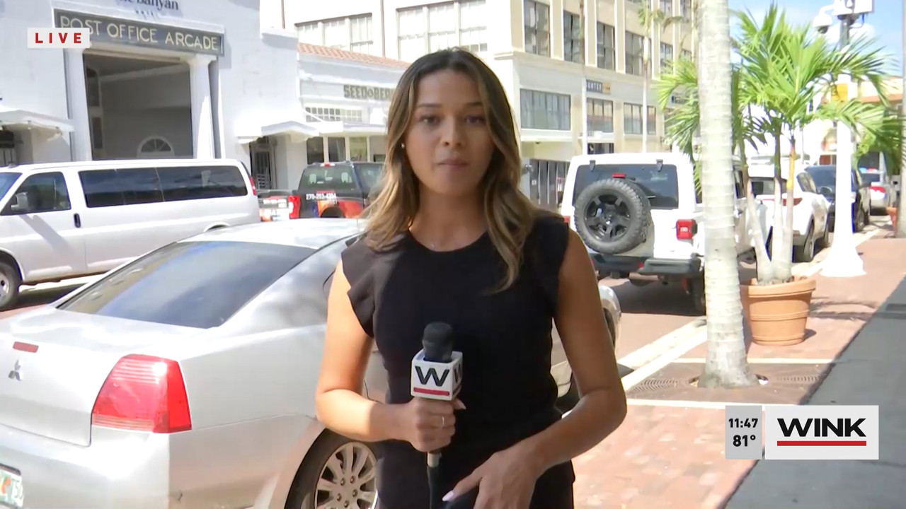 10.09 - 16.30.00 - WINK NEWS at 11 30am  ᴺᵉʷ. Midday news..ts_snapshot_23.52.985