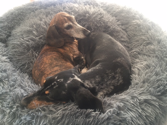 [Image: le-couple-royal.jpg]