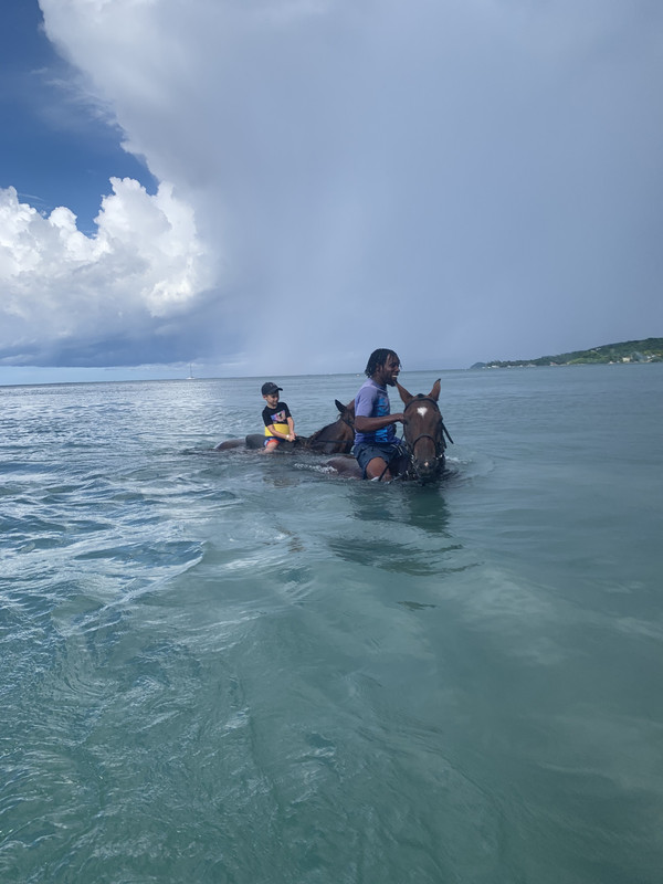 7CC257E0-1B9A-4106-8397-14926F3D1491