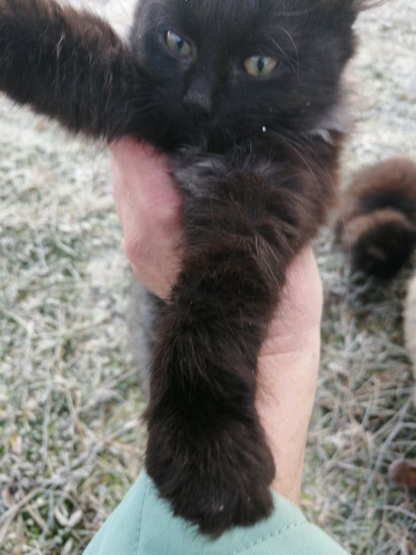 IMG 131e5b223dd7e8156e79e3557f7bc856 V