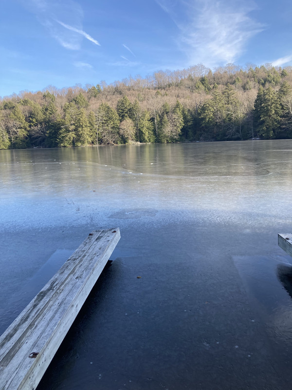 9D223BE7-0098-4DDF-8D54-042DA832A9B3