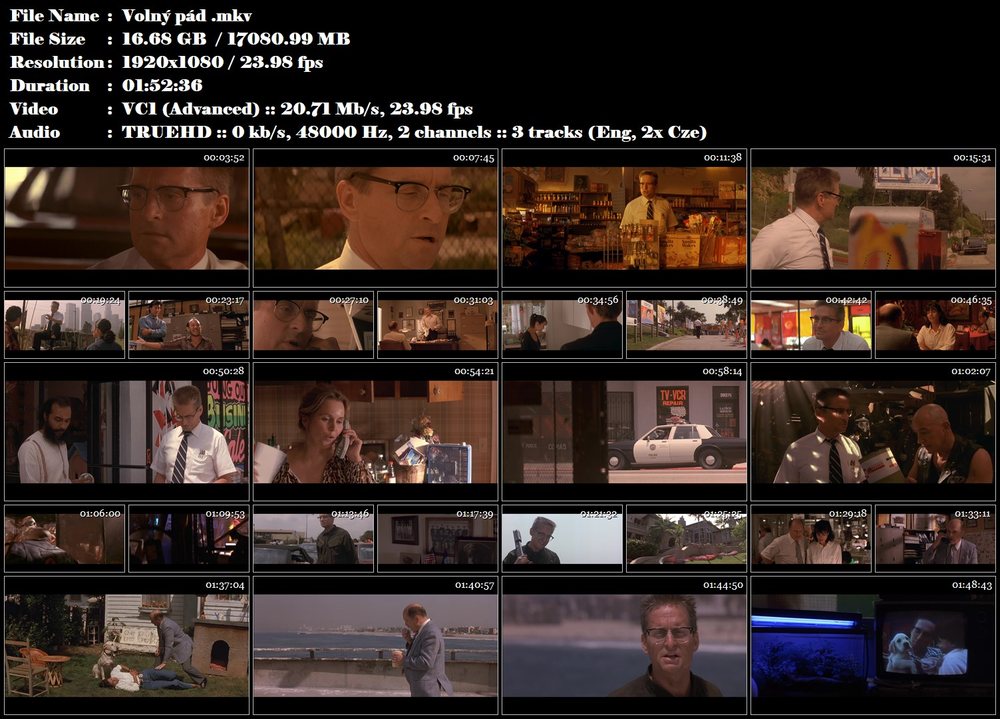 Re: Volný pád / Falling down (1993)